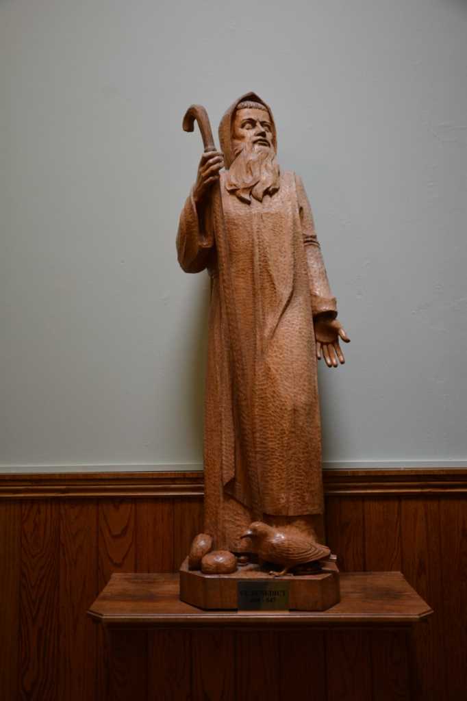 DSC_5679Mittel_.JPG